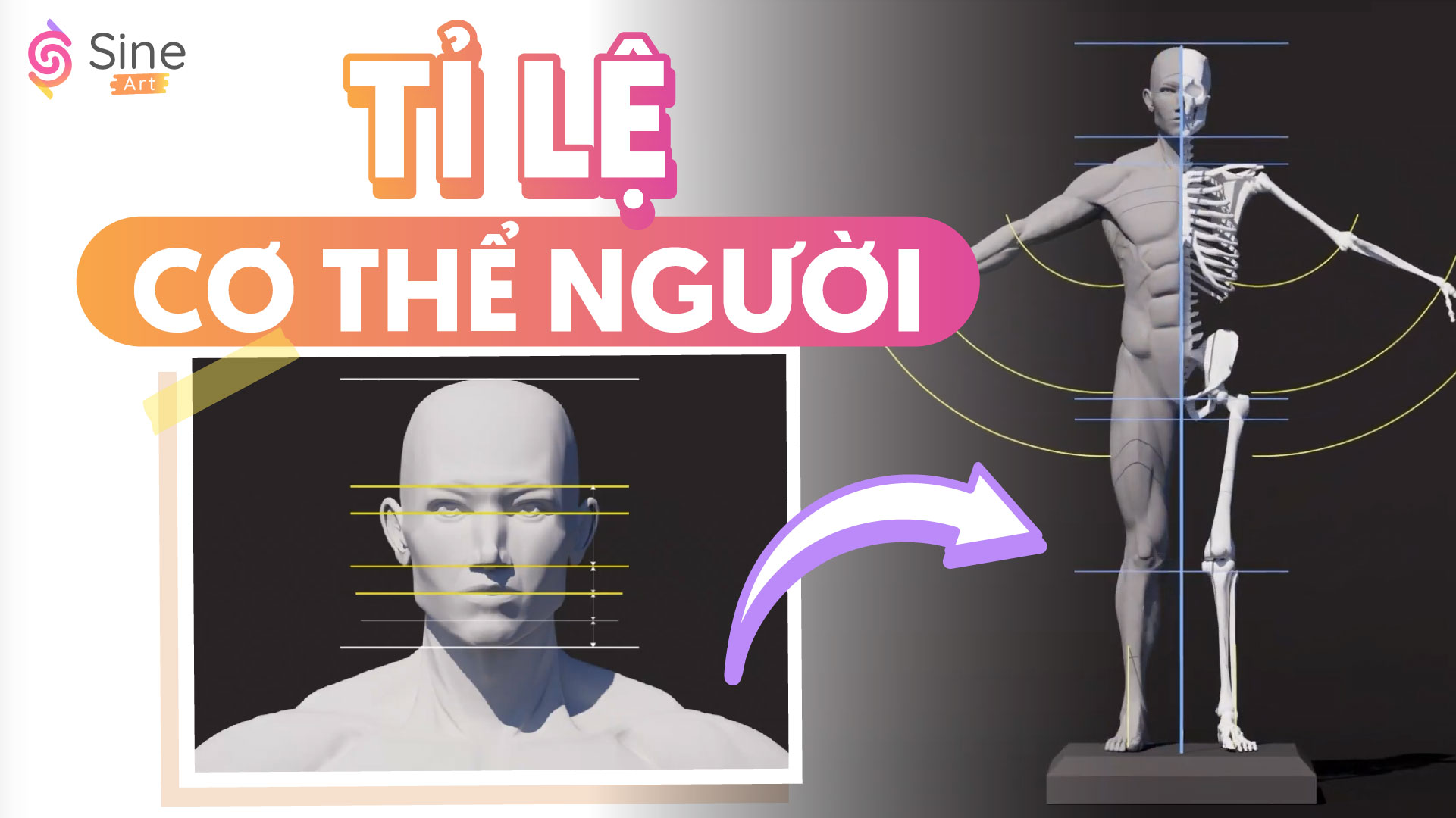 Giải phẫu cho thiết kế nhân vật