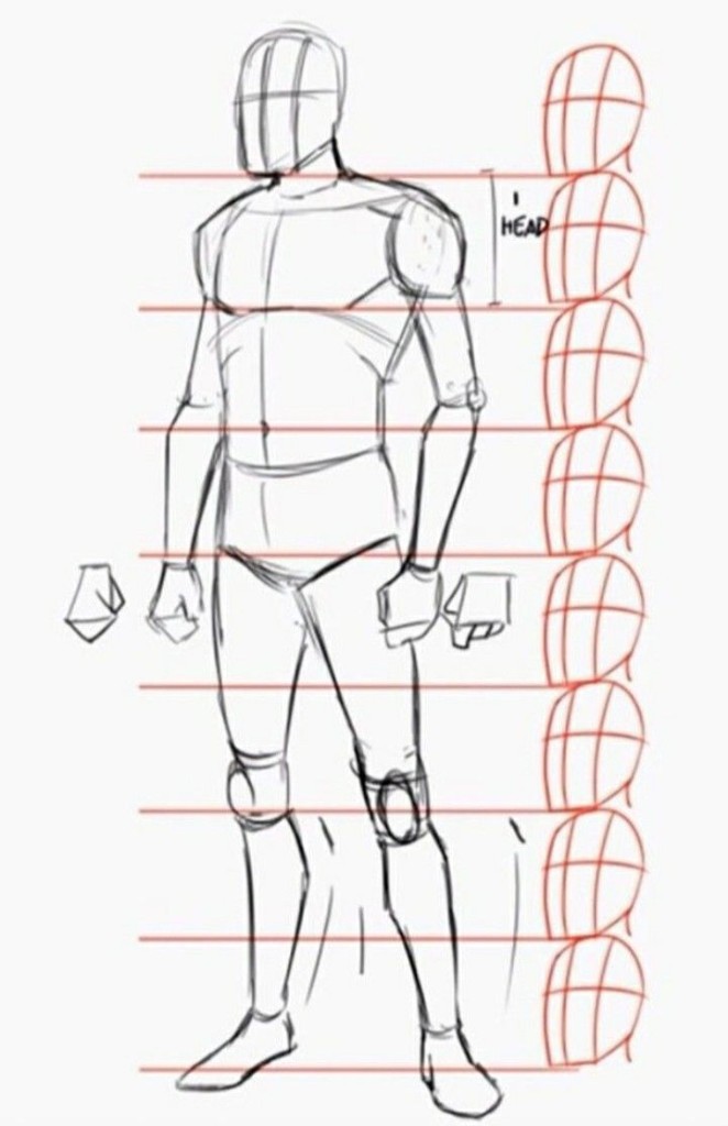Figure drawing Loomis canon 8 heads